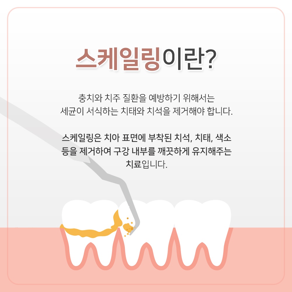 내손동11